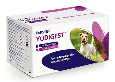 Ruoansulatusvaivojen ja -haasteiden hoitoon